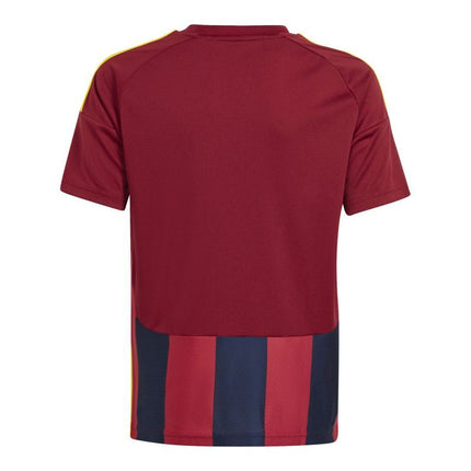 adidas Juventūso Marškinėliai Striped 24 IW2139