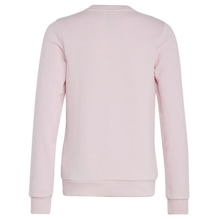 Adidas Dvigubo Logotipo Hoodies Jr IC6119