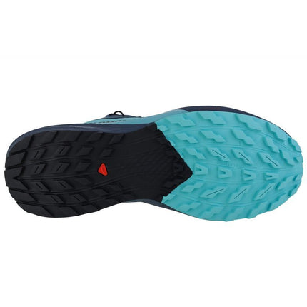 Salomon Sense Ride 5 GTX M 471474 batai