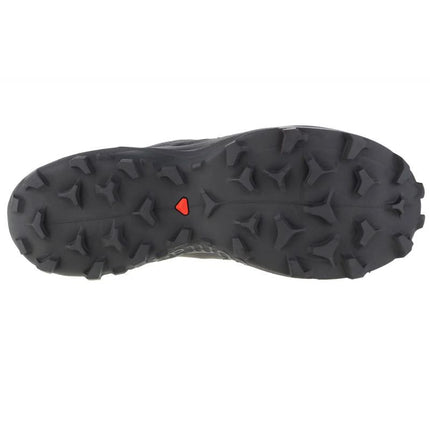Salomon Wildcross 2 GTX M 414554 Bėgimo Bateliai