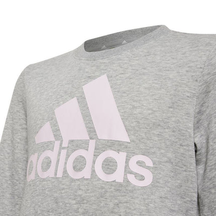 Adidas Big Logo Swt Jr HM8706 džemperis