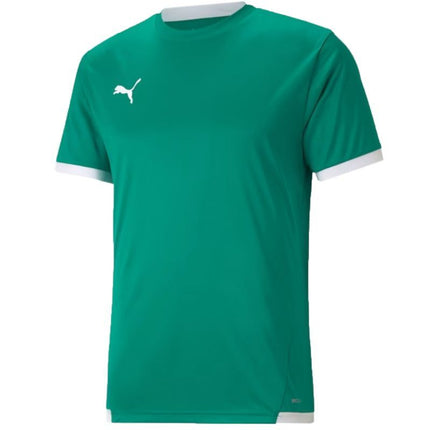 Puma teamLiga marškinėliai M 704917 05