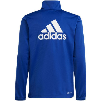 adidas Essentials Big Logo sportinis kostiumas jaunuoliams HR6408