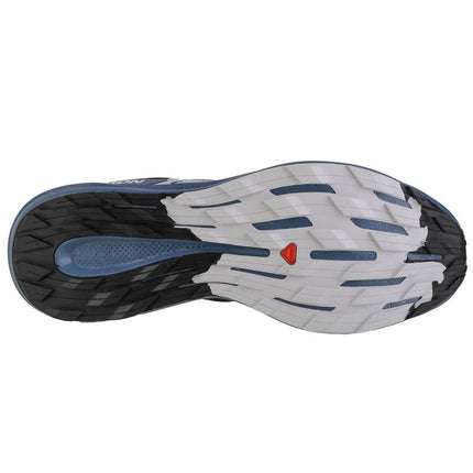 Salomon Pulsar Trail M 472100 batai