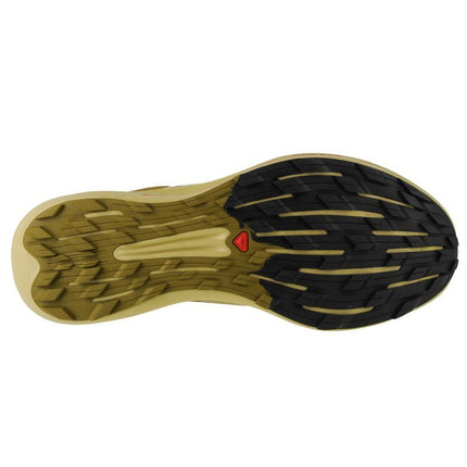 Salomon Pulsar Trail-Pro M 415936 avalynė