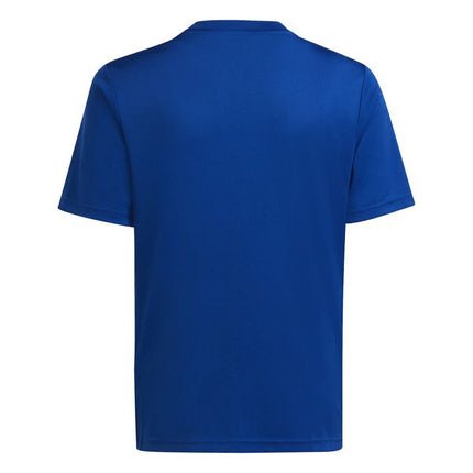 adidas Team Icon 23 Jr marškinėliai HR2654