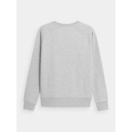 Džemperis 4F W 4FSS23TSWSF370-27M