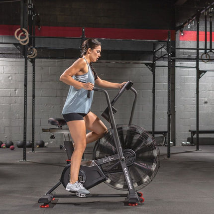 Schwinn Airdyne AD8 100475 Dviratis
