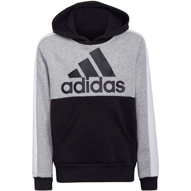 Adidas U CB FL Hoodie Jr HC5658 bliuzonas