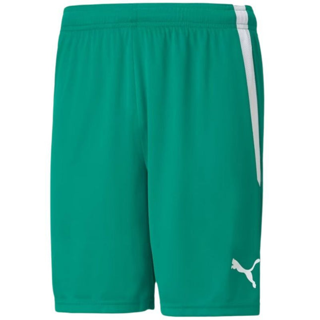 Puma teamLiga M 704924 05 šortai