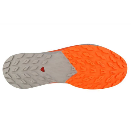 Salomon Sense Ride 5 M 470462 Bėgimo Bateliai