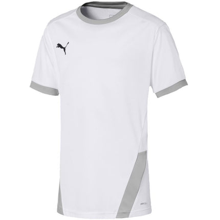 Puma teamGOAL 23 marškinėliai vaikams 704160 04