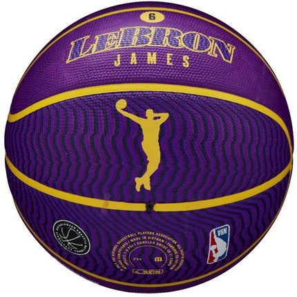 Wilson NBA Player Symbol LeBron James Field Ball WZ4027601XB