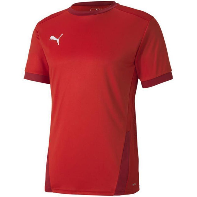 Puma teamGOAL 23 Džersis M 704171 01