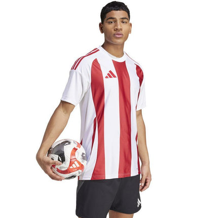 Adidas Striped 24 JSY M marškinėliai IW2142