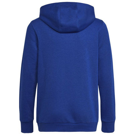 Adidas Big Logo Essentials Hoody Jr HN1912 džemperis