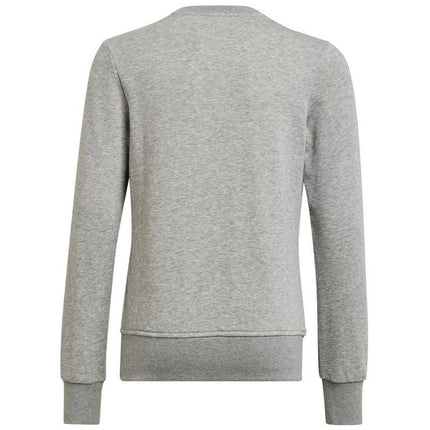 Adidas Big Logo Swt Jr HM8706 džemperis