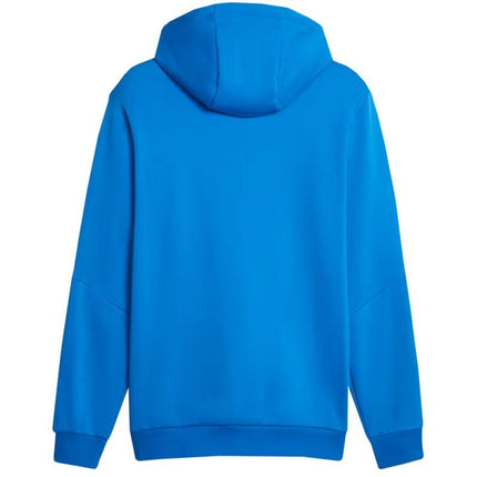 Puma ESS+ Hoodie su juostele FL M 849040 47