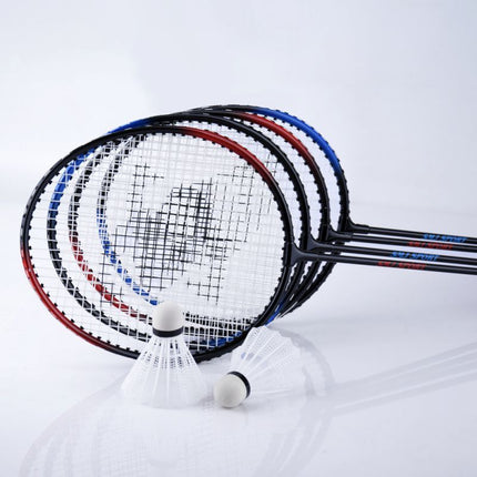 SMJ sport TL001 badmintono rinkinys