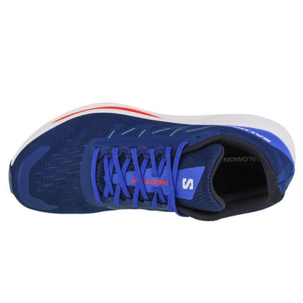 Salomon Spectur M 415899 bėgimo batai