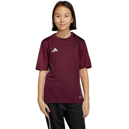 adidas Stalo 23 marškiniai Jr IB4933