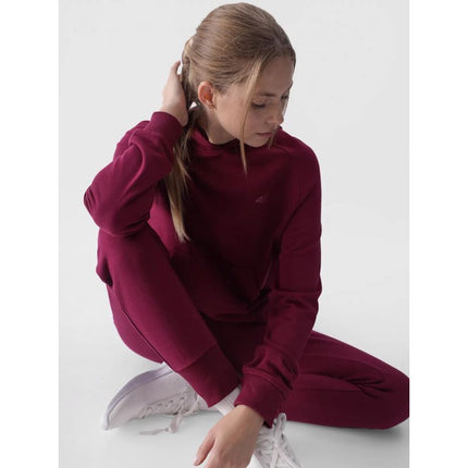 Džemperis 4F W 4FWMM00TSWSF1468-51S