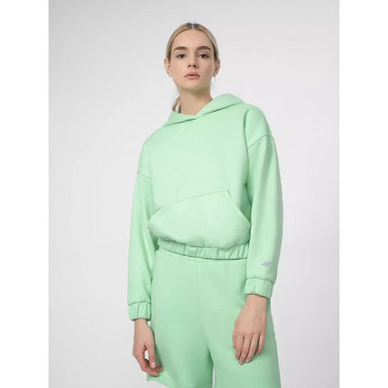 Džemperis 4F W 4FSS23TSWSF255-42S