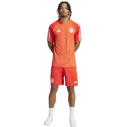 adidas FC Bayern Marškinėliai Treniruotėms JSY M IQ0608