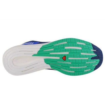 Salomon Spectur M 415899 bėgimo batai