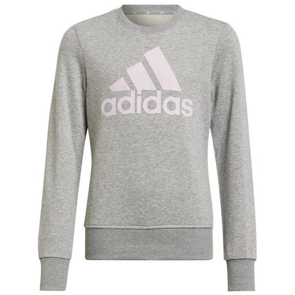 Adidas Big Logo Swt Jr HM8706 džemperis