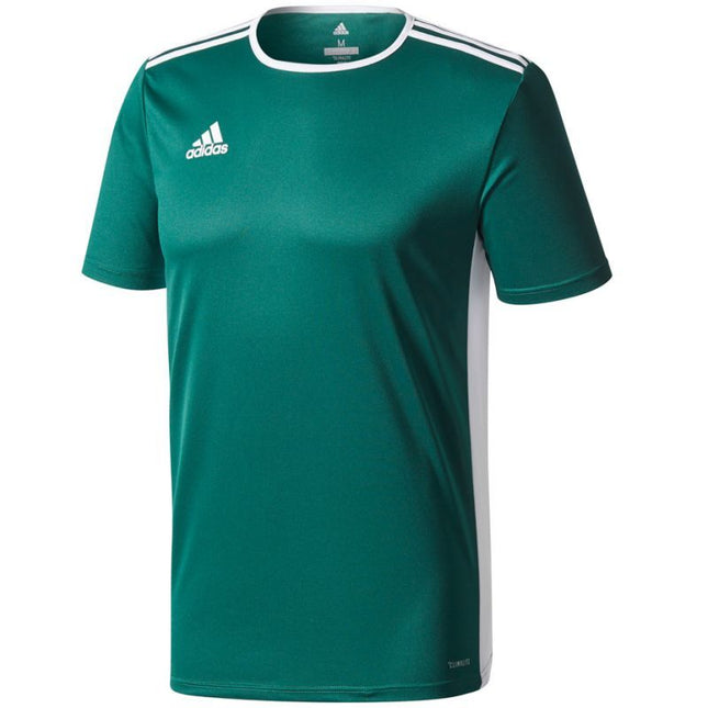adidas Entrada 18 Jaunes marškinėliai CD8358