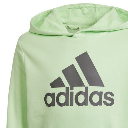 Adidas Big Logo Hoodie Jr IS2591 džemperis
