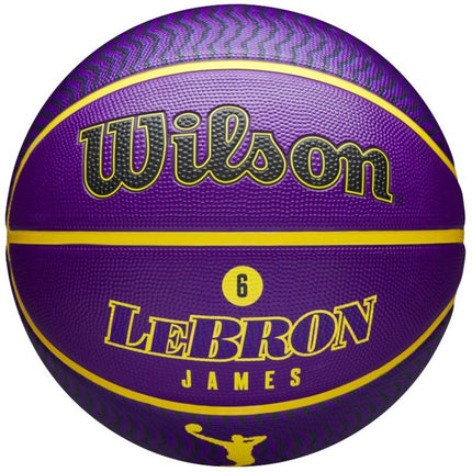 Wilson NBA Player Symbol LeBron James Field Ball WZ4027601XB