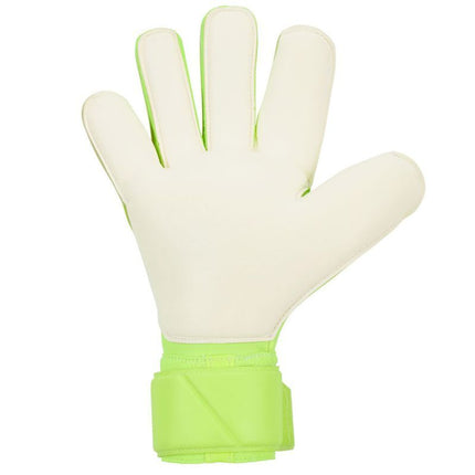 Nike Vapor Grip3 vartininko pirštinės HQ0304-702