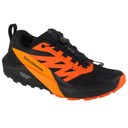 Salomon Sense Ride 5 GTX M 471473 bėgimo batai