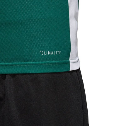 adidas Entrada 18 Jaunes marškinėliai CD8358