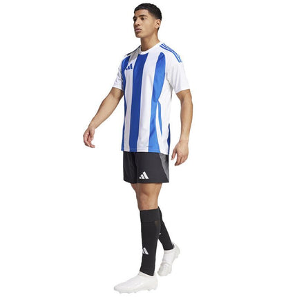 Adidas Striped 24 JSY M marškinėliai IW2144