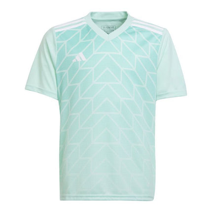 adidas Team Icon 23 Jr Marškinėliai IC1255