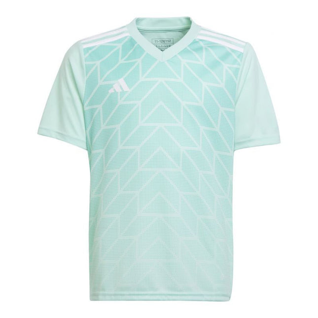 adidas Team Icon 23 Jr Marškinėliai IC1255
