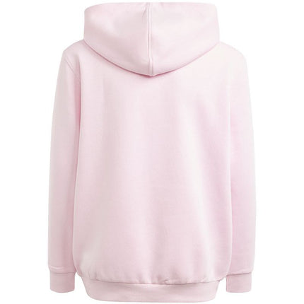 Adidas Allszn Gfx HD Jr džemperis IN2844