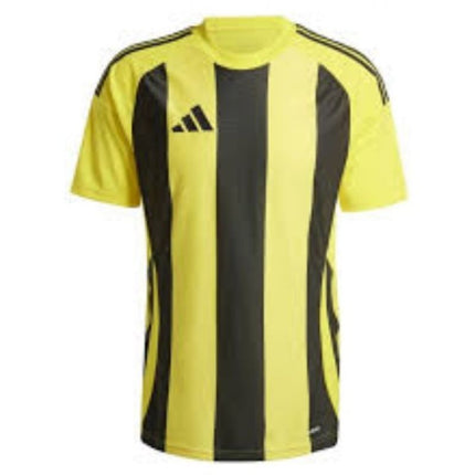 Adidas Striped 24 JSY M marškinėliai IW2146
