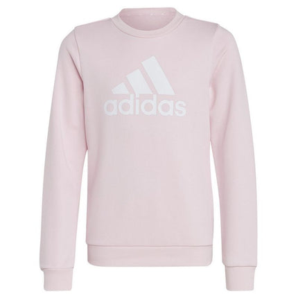 Adidas Dvigubo Logotipo Hoodies Jr IC6119