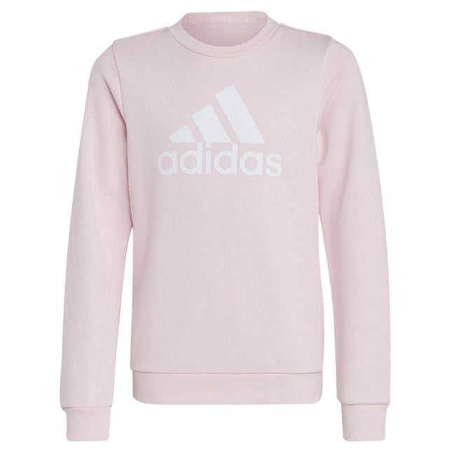Adidas Dvigubo Logotipo Hoodies Jr IC6119