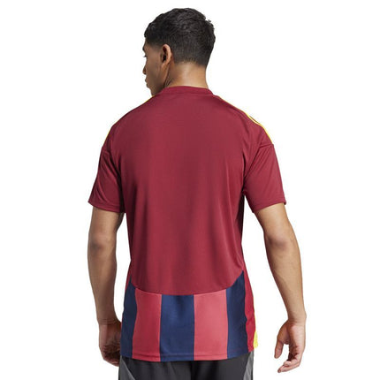 Adidas Striped 24 JSY M marškinėliai IW2149