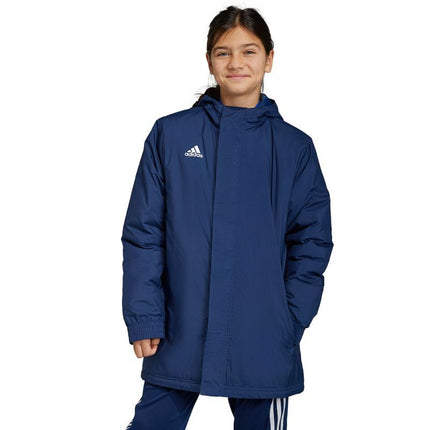 Adidas Entrada 22 Stadium Jr IB6079 striukė