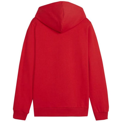 Puma Team Goal Casuals Hoddy Jr džemperis 658619 01