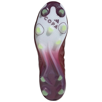 Futbolo bateliai Adidas Copa Pure 2 Elite FG M IE7486