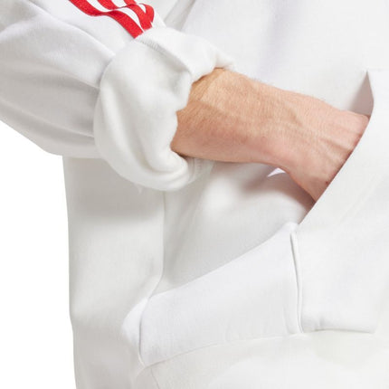 Adidas House of Tiro Nations Pack M džemperis IY4528