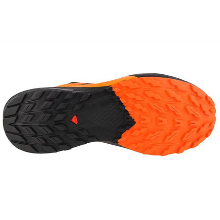 Salomon Sense Ride 5 GTX M 471473 bėgimo batai