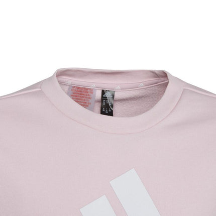 Adidas Dvigubo Logotipo Hoodies Jr IC6119